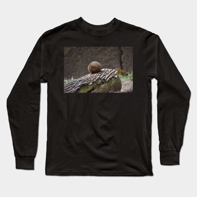 Mongoose Long Sleeve T-Shirt by MarieDarcy